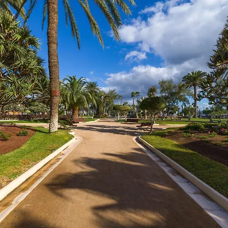 Cosmopolitan Design By Canariasgetaway