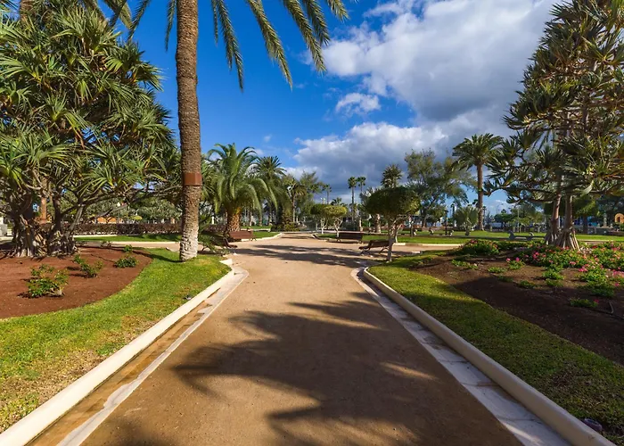 Cosmopolitan Design By Canariasgetaway